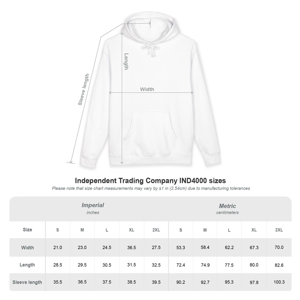 AERA Classic style hoodie